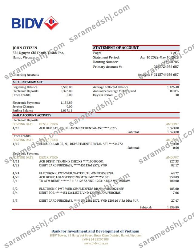 Vietnam BIDV bank statement